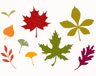 Fall Leaves SVG Bundle | 9 Autumn Leaf Cut Files | DIY Foliage Silhouettes | Svg Dxf Eps Pdf Png