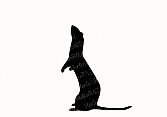 Ferret silhouette image