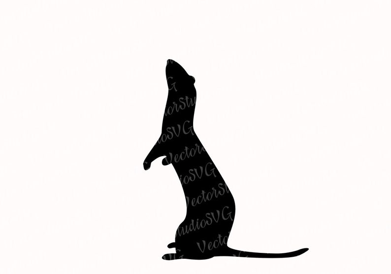 Download Ferret Svg Weasel Svg Animal Silhouette For Commercial Use Die | Etsy