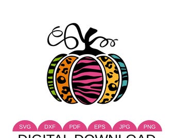 Colorful Patterned Pumpkin SVG, Leopard Zebra Pumpkin Cut File (Digital Download)