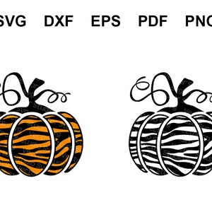 May include: Two pumpkin designs with a black stem and swirly vines. One pumpkin has orange and black tiger stripes, the other has black and white zebra stripes. The image includes the text "SVG DXF EPS PDF PNG".