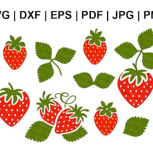 Strawberry Svg Bundle, Cut Files - Svg Dxf Eps Pdf Jpg Png - Utilisation commerciale