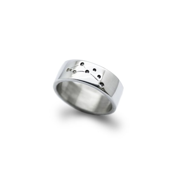 Simple twelve constellation ring