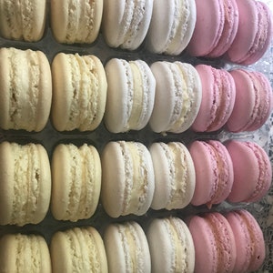 Homemade macaron collection(random colours, you can not choose the colours)