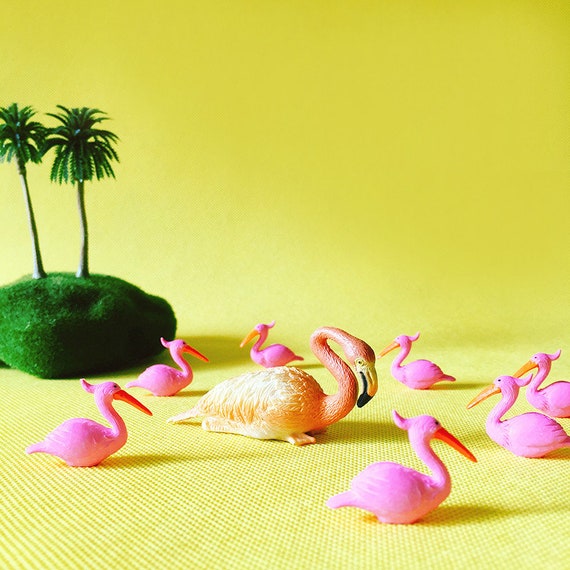 10 Pairs Miniatures Dollhouse Bonsai Fairy Garden Landscape Duck Decor