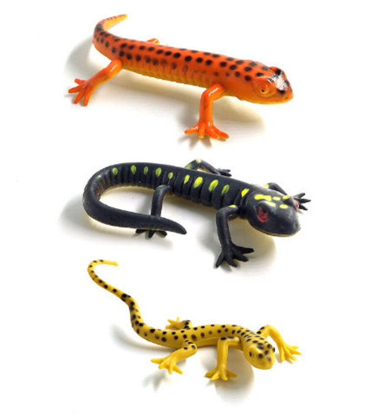 12pcs/ Lizards Reptile Simulation plastic forest wild animal Etsy