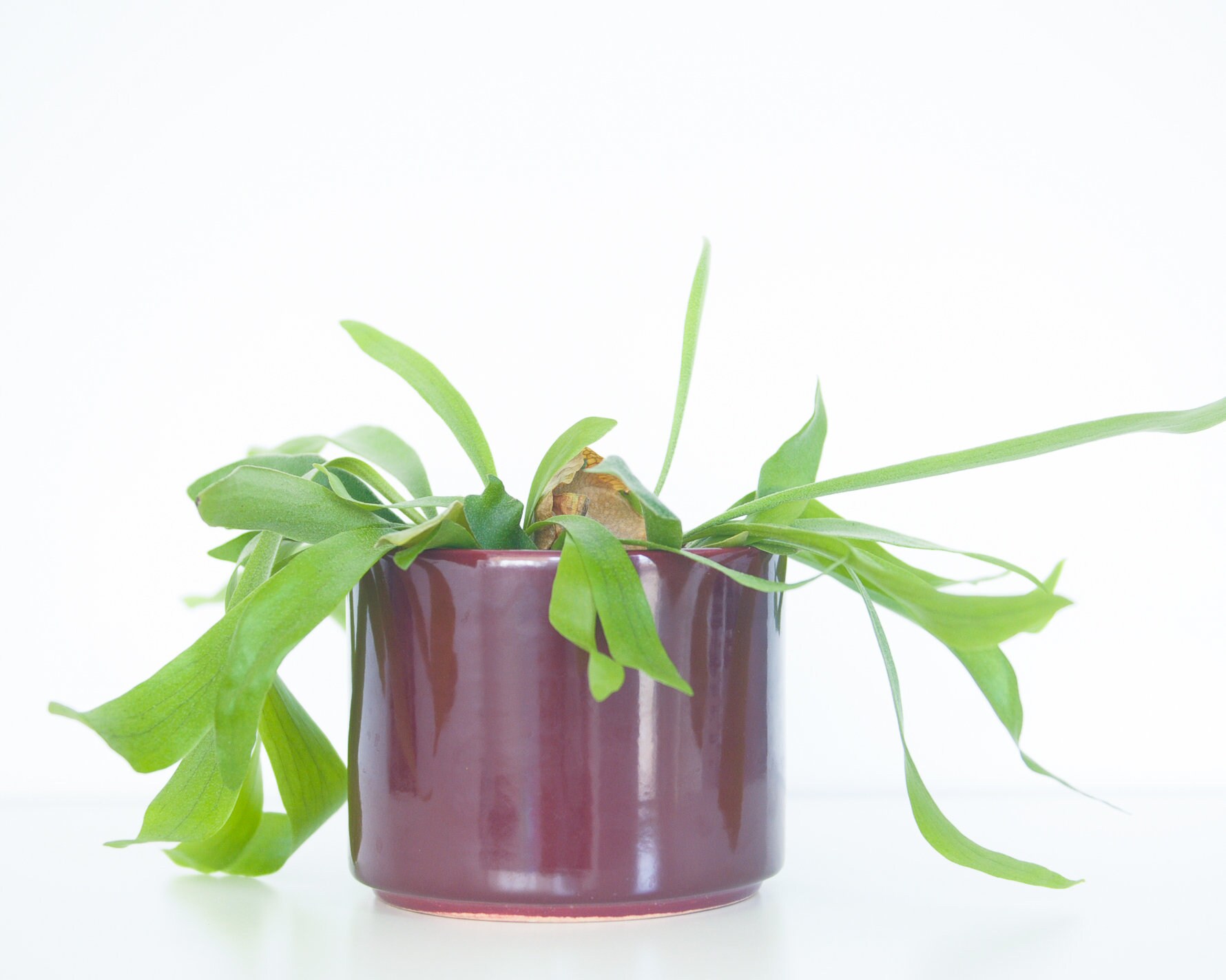 Mid Century Gainey Ceramics Planter Modern Cylinder Shape Etsy