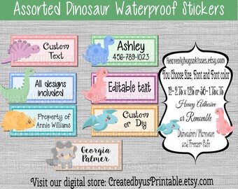 Dinosaur Dishwasher safe and Waterproof Kid's Labels Name tags Dinosaur Daycare Stickers Vinyl stickers baby bottle decal sippy cup stickers