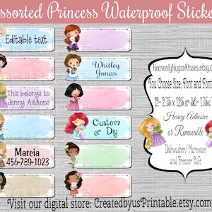 Princess Dishwasher safe and Waterproof Kid&#39;s Labels name stickers Princess name tags Daycare Stickers camp stickers Princess School labels