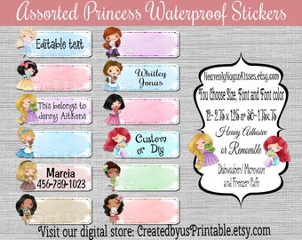 Princess Dishwasher safe and Waterproof Kid's Labels name stickers Princess name tags Daycare Stickers camp stickers Princess School labels