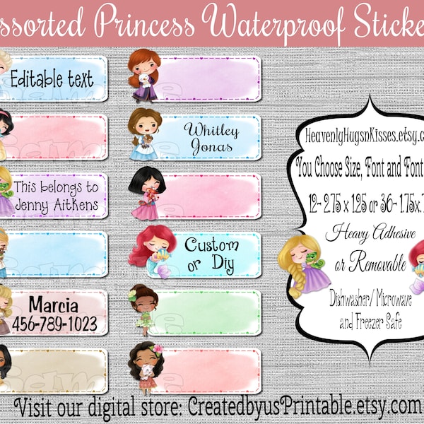 Princess Dishwasher safe and Waterproof Kid's Labels name stickers Princess name tags Daycare Stickers camp stickers Princess School labels