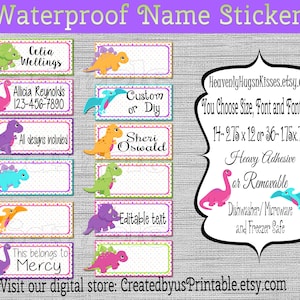 Dinosaur Dishwasher safe and Waterproof Kid's Labels Girl dinosaur Daycare Stickers School supply label baby bottle decal sippy cup stickers