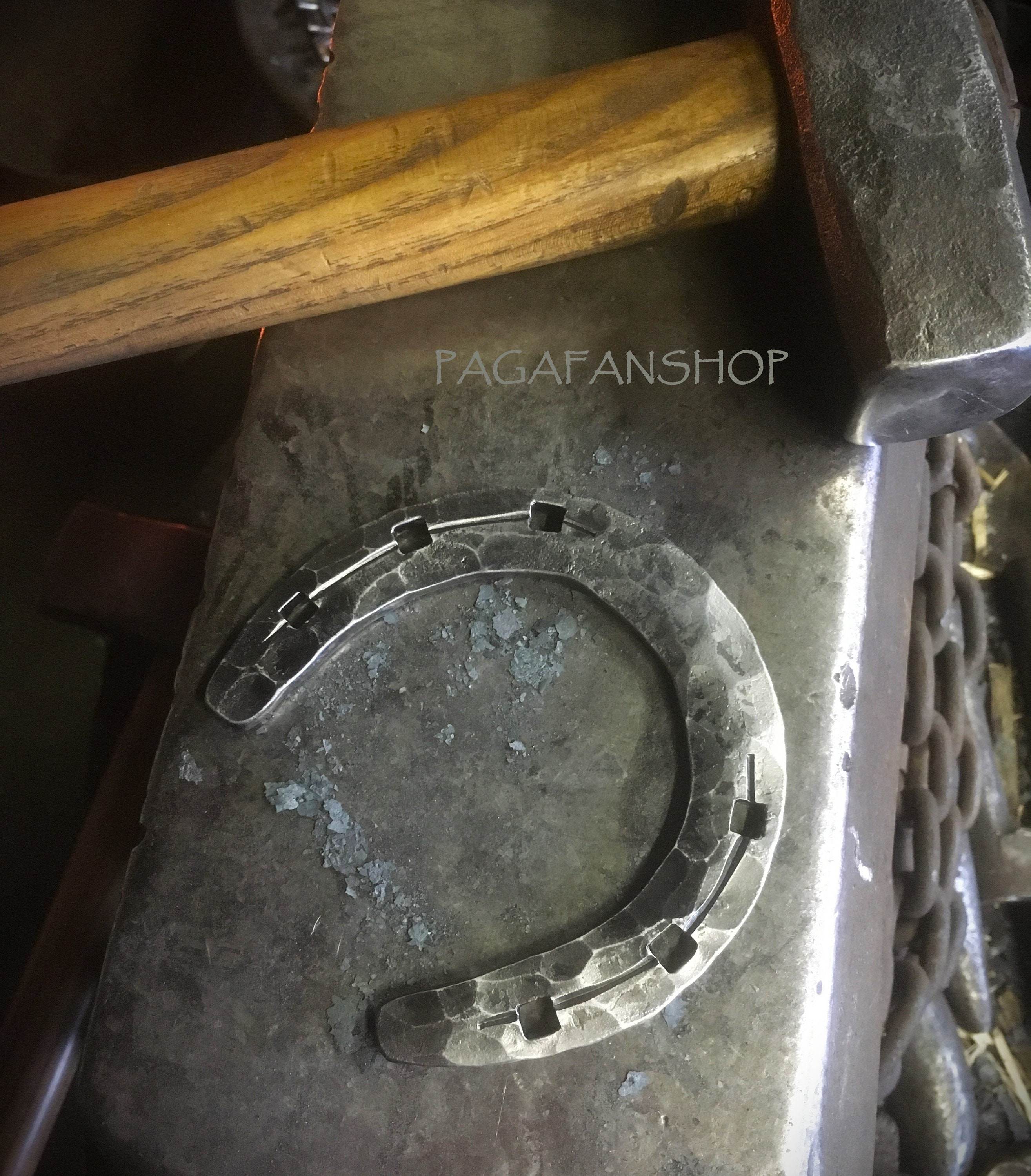 Piedi Di Cavallo Marrone E Zoccoli Con Ferro Di Cavallo In Acciaio, Dettaglio Closeup Foto Stock - Foto 9