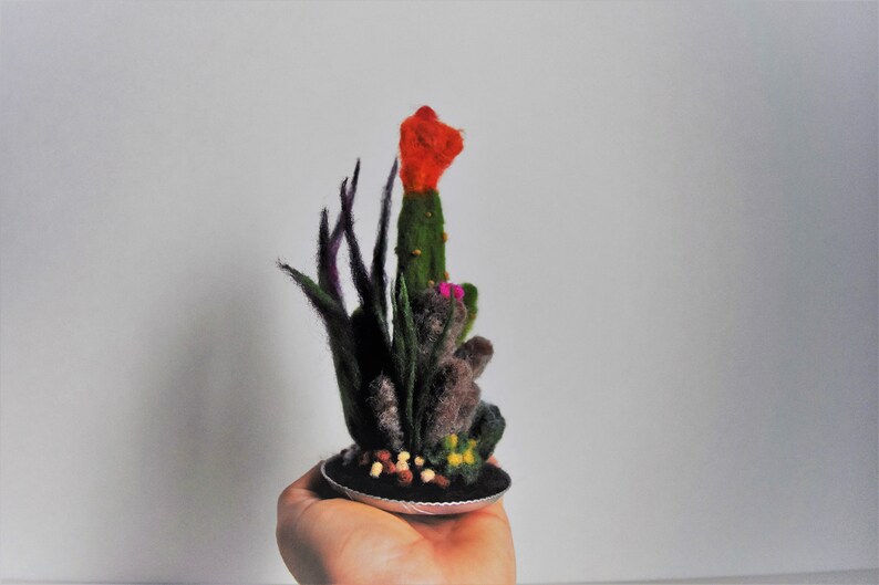 Needle Felted Cacti, Cactus, Felted Wool Cactus, Unique, One-of- Needle Felted Cacti, Cactus, Felted Wool Cactus, Unique, One-of-