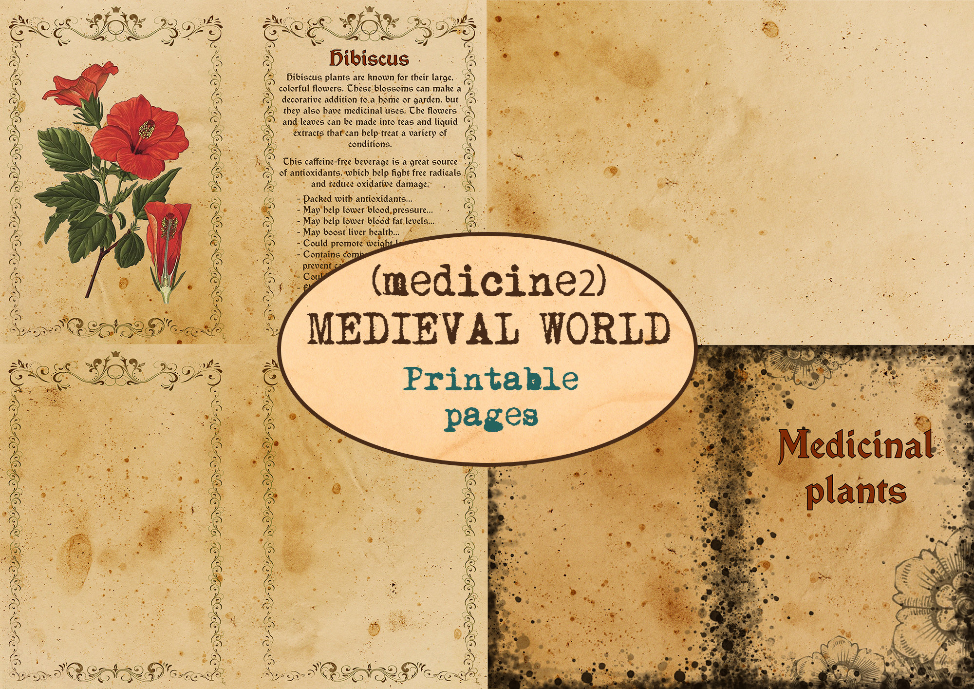 MEDIEVAL MEDICINE WORLD(2) 18 pages / Apothecary book / Printable journaling pages / Vintage ephemera / Wild herbs / Junk journal