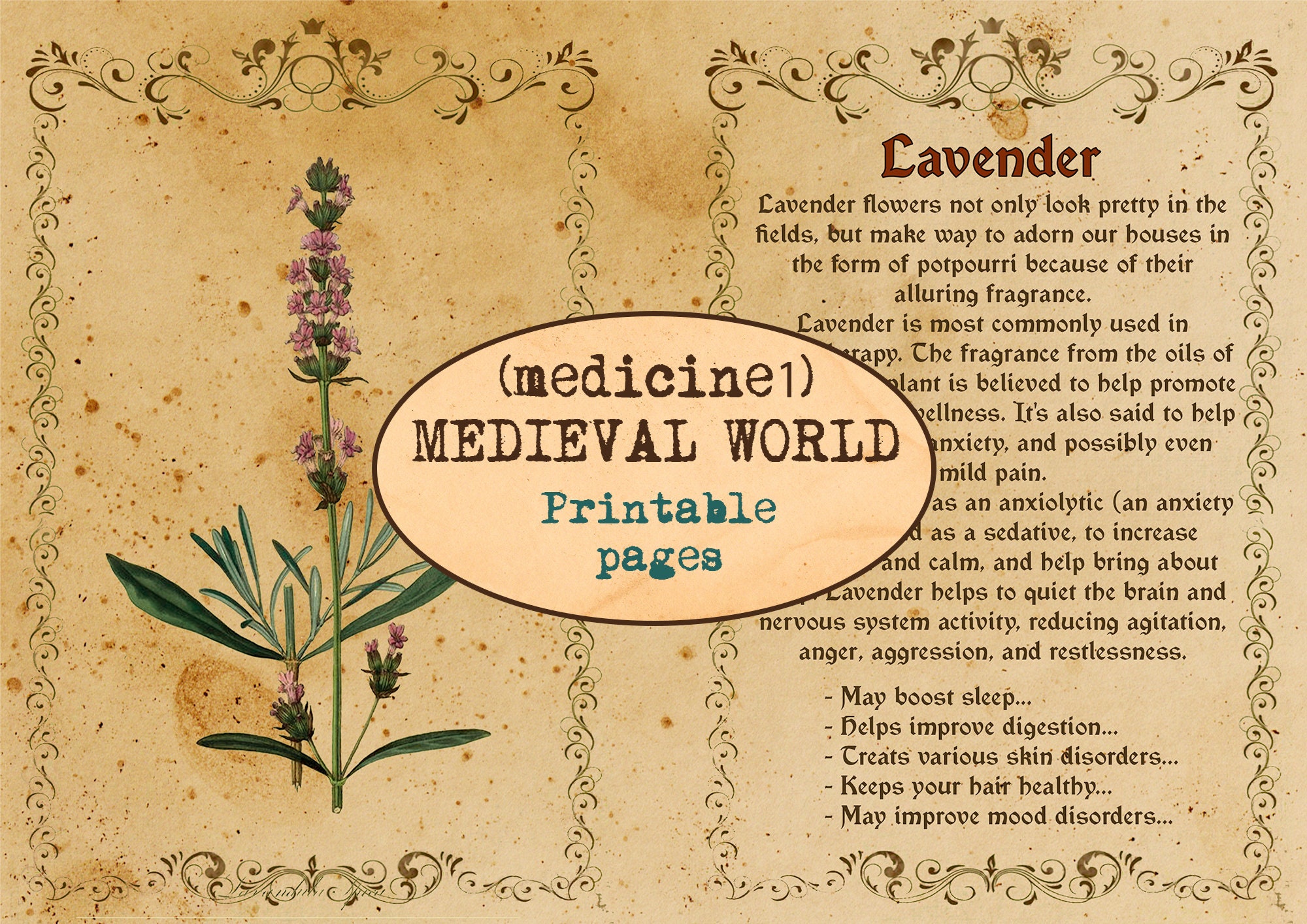 MEDIEVAL MEDICINE WORLD1 / Medicinal Herbs / Apothecary Book Etsy UK