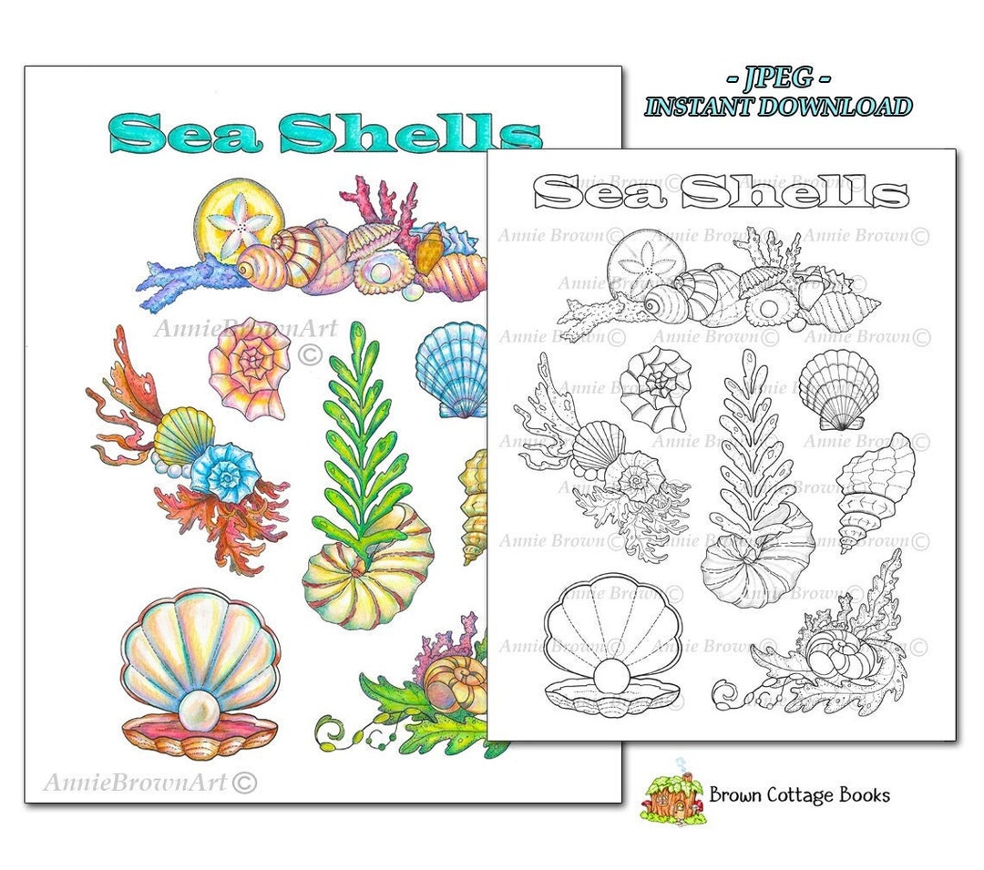 Types of Seashells Coloring Page Instant Download Printable File Line Art JPEG by Annie Brown ...