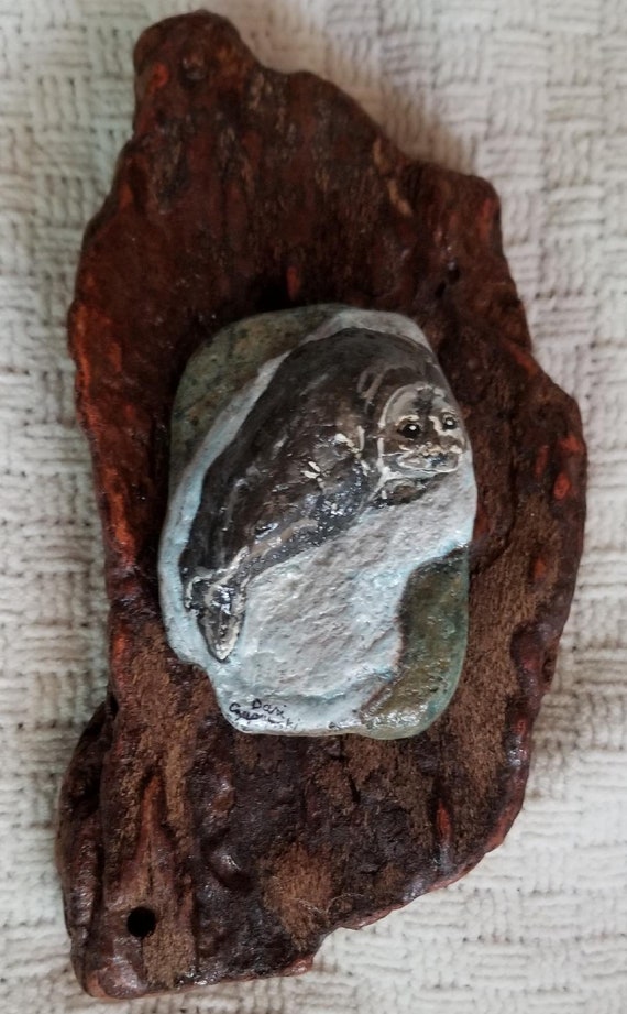 Rock Seal on driftwood. This rock is naturally in the shape Etsy