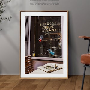 Vintage photography digital print, Vintage wall art, Digital print,Photography printable,Window display vintage digital print