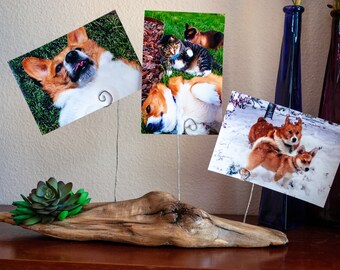 Rustic driftwood picture holder