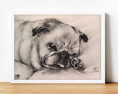 Black and White Charcoal Dog Portrait, Custom Animal Portrait, Gift for Birthday, Cute Pug Drawing for Him or Her, Hnaddrawn by Photo