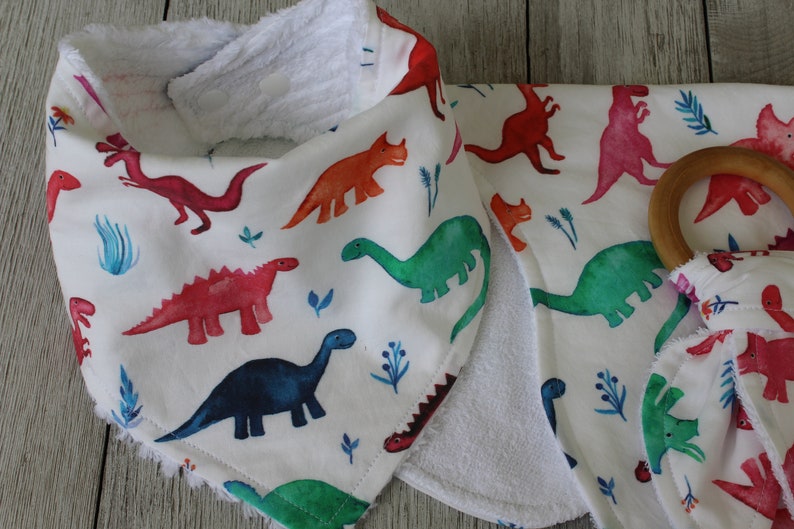 Baby Girl Dinosaur Baby Shower Gift Baby Girl Dino Bib Etsy
