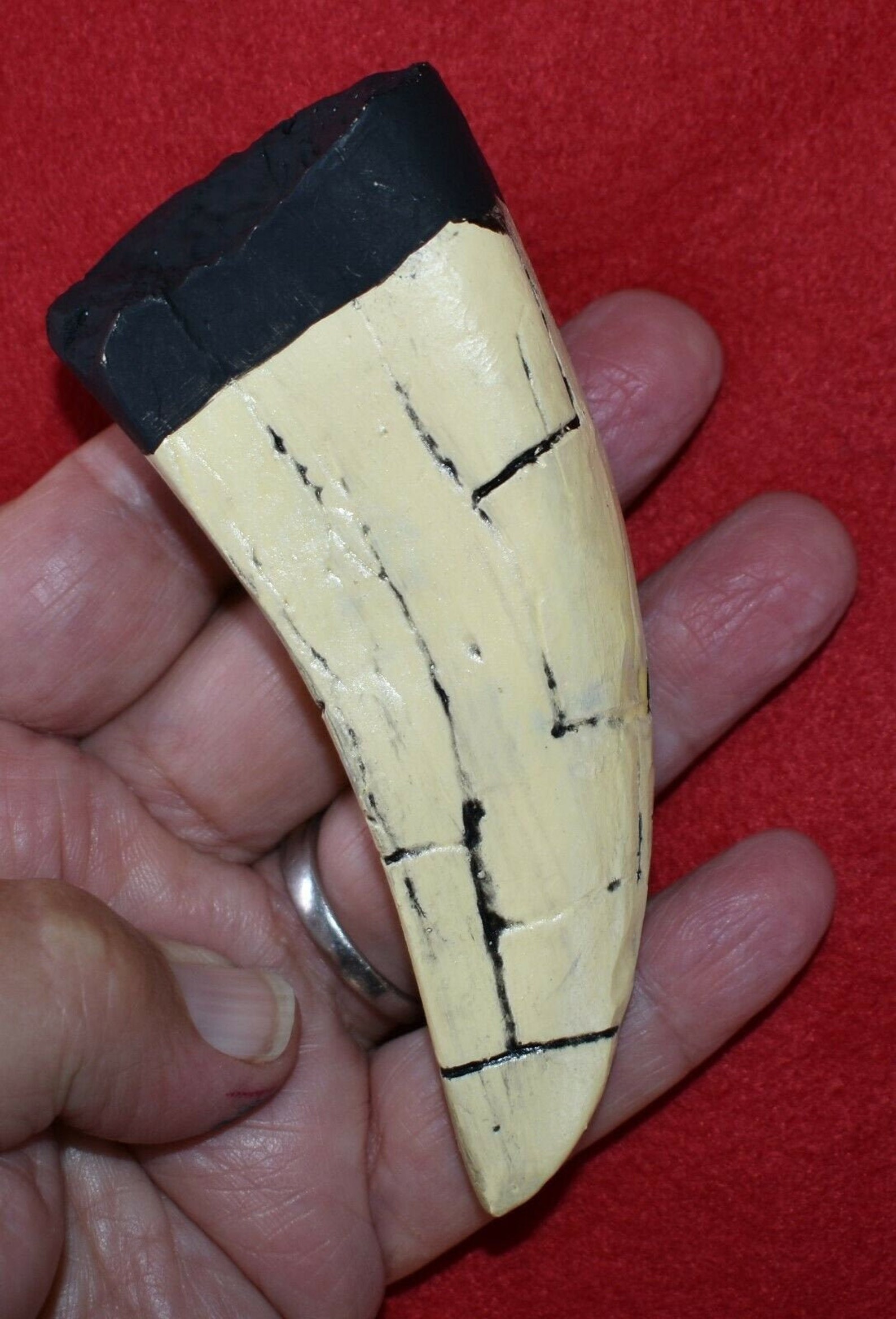 authentic trex tooth