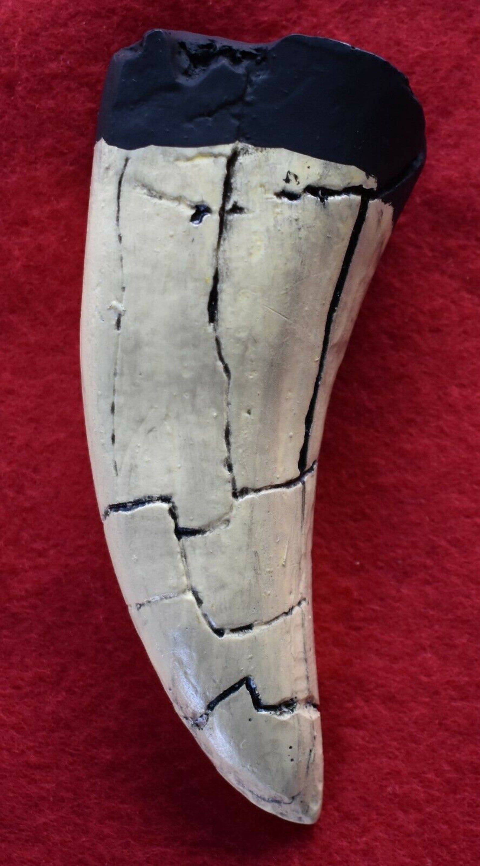 authentic trex tooth