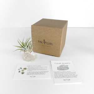 Clear Quartz Cluster - Crystal Air Plant Holder - Unique Christmas Gift - Crystal Gift for Friends - Plant Lover Gift - Crystal Lover Gift