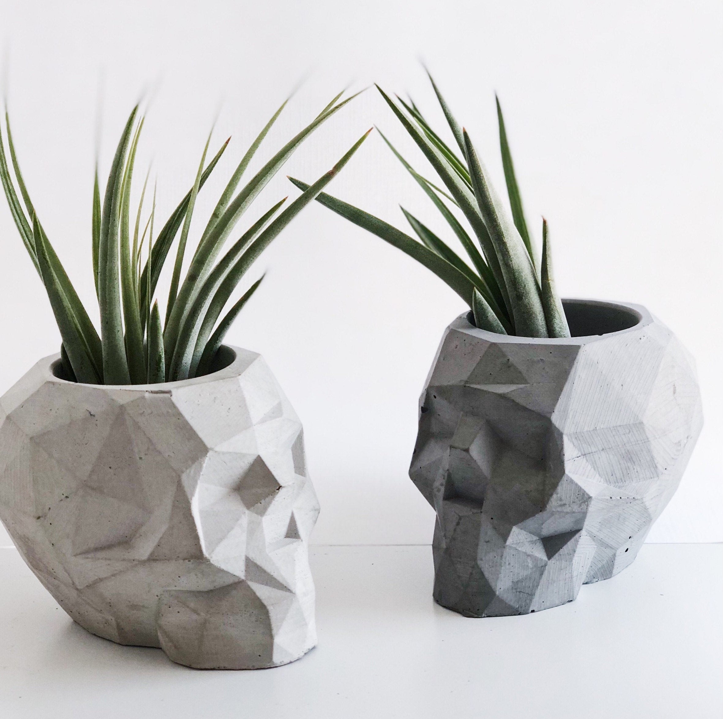 Air Plant Succulent Industrial Decor Concrete Planter Decor Holder Modern Cement Skull Edgy