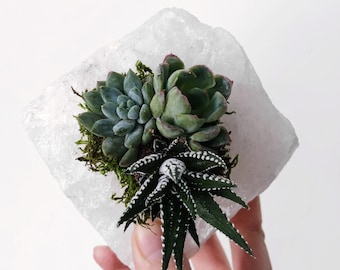 Raw Clear Quartz - Succulent Planter - Zen Garden - Crystal Planter - Mindfulness Gift - Quartz Planter - Gifts for Mom - Healing Crystals