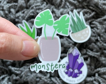Monstera Sticker - Plant Sticker - Stickers for Hydroflask - Laptop Stickers - Cute Stickers - Sticker for Journal - Laptop Aesthetic
