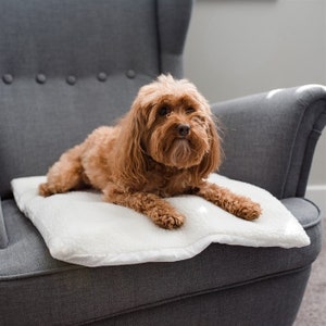 Thin Mat for our Pet Small Teepee, Tent