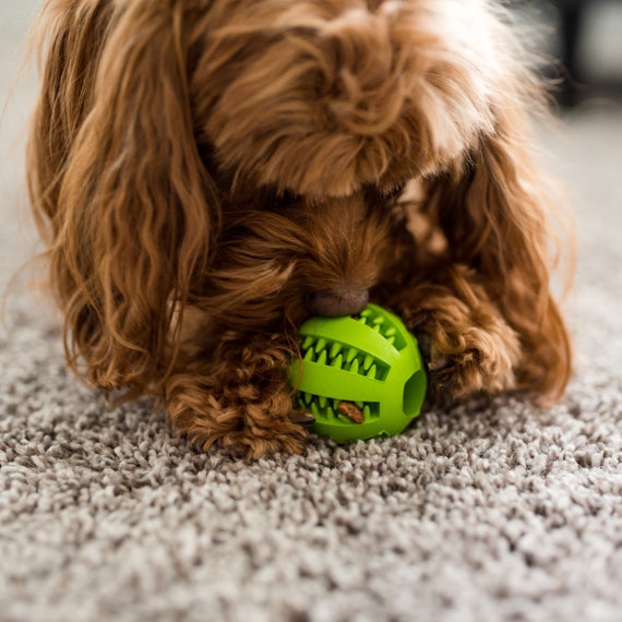 Geode tennis ball dog toy cheap