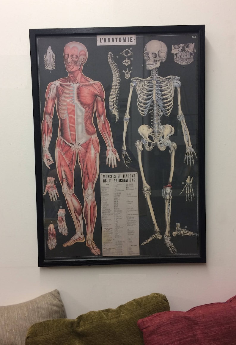 Cavallini Decorative Wrap Sign Language Chart Etsy