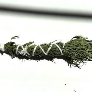 Wild Crafted Cedar Smudge Bundle