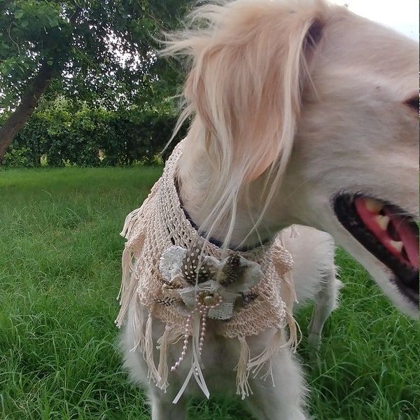 Hand Crocheted Shabby Chic Victorian All Breed Dog Shawl Collar Sighthound