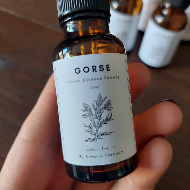 Gorse Flower Essence 20ml image 2