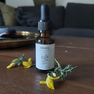 Gaspeldoorn-bloemessentie 20 ml