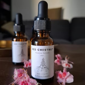 Rote Kastanienblüten Essenz 20ml