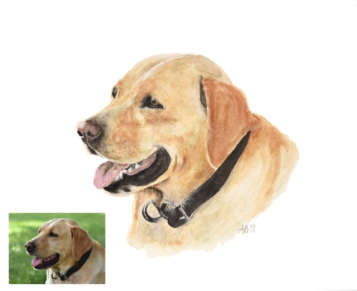 Custom Pet Painting from Photo Custom Pet Portrait Hand image 1