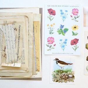 Vintage Junk Journal Kit, Nature, Vintage Ephemera Pack, Junk Journal Inspiration Kit, Vintage Book Pages, Ephemera Pack, Vintage Book Pages image 2