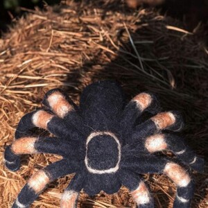 Handmade Needle Felted Red Knee Tarantula - Spider Home Decor