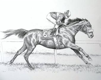 JOHN HENRY Champion Racehorse Art Print