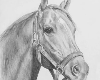 SECRETARIAT Portrait Art Print