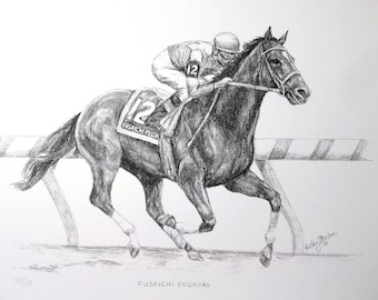 FUSAICHI PEGASUS Kentucky Derby Winner Art