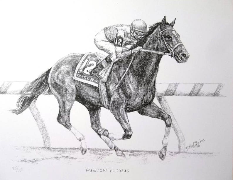 FUSAICHI PEGASUS Kentucky Derby Winner Art | Etsy