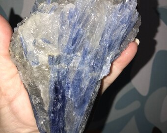 Blue Kyanite with Crystal Quartz