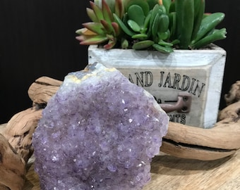 1.4lb Cut Base Amethyst Geode