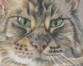 Custom Pet Portrait - original hand drawn artwork in colored pencil of your pet